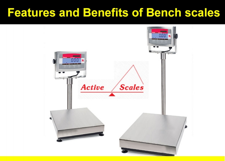 Features and Benefits of Bench Scales