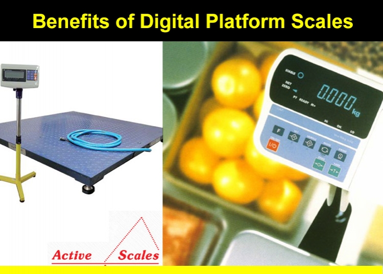 Benefits of Digital Platform Scales