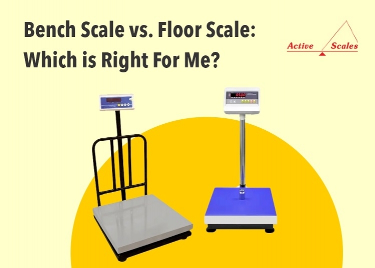 Bench Scale vs Floor Scale: Which Is Right For  Me
