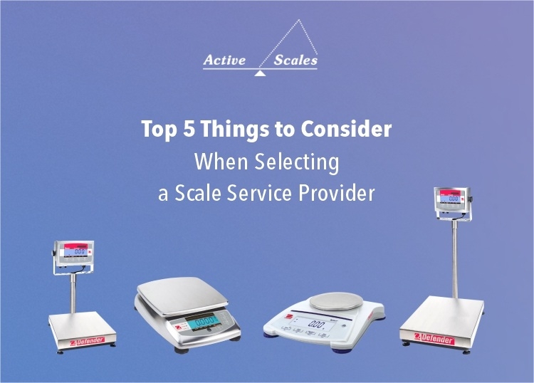 Top 5 Things to Consider When Selecting a Scale Service Provider